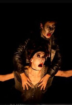 As favelas e o que ninguém observa – O Início