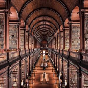 América Profunda, Poesía Delicadísima cuestión